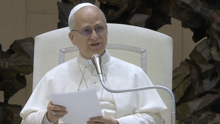 El Papa, en la audiencia