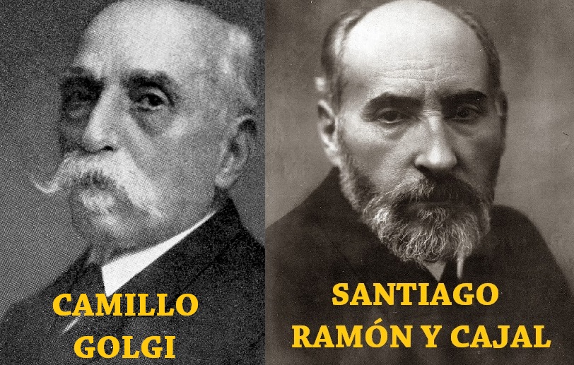 Santiago-Ramón-y-Cajal-06-1