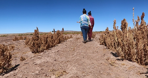 Mujeres y sequía en Bolivia