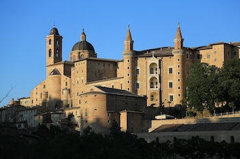 urbino