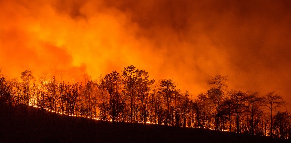 Incendios en Amazonía boliviana