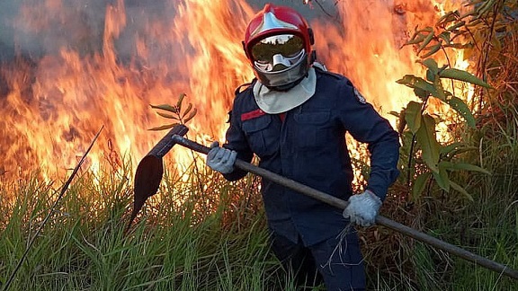 Incendios en la Amazonía boliviana