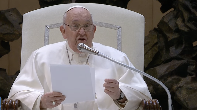 Francisco, durante la audiencia general