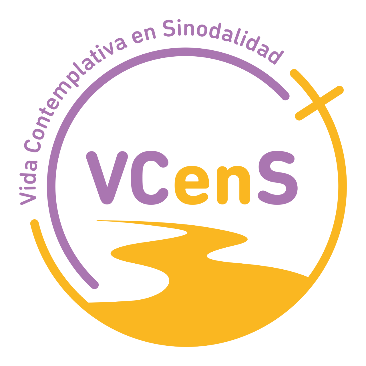 logo info@vidacens.org