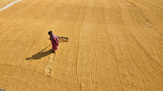 Una mujer trabajando en el campo