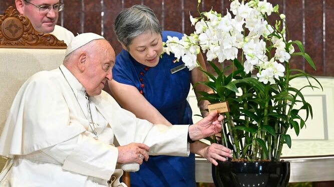 Francisco y la 'Dendrobium His Holiness Pope Francis'