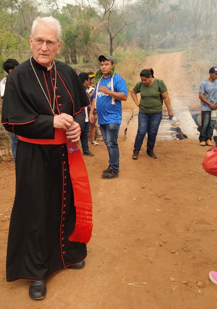 Cardenal Steiner