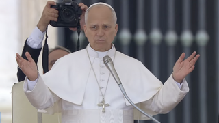 El Papa, al inicio de la audiencia